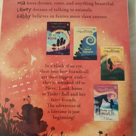 Disney "The Never Girls" Book Series- Collection 1-4 book set-Aurhor Kiki Thorpe - Picture 3 of 4